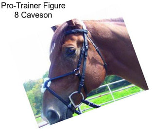 Pro-Trainer Figure 8 Caveson