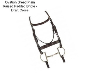 Ovation Breed Plain Raised Padded Bridle - Draft Cross