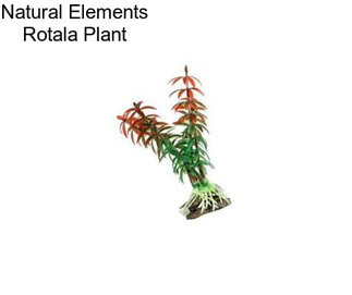Natural Elements Rotala Plant