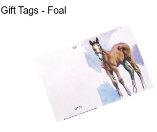 Gift Tags - Foal