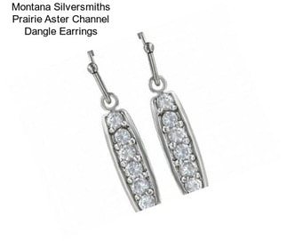 Montana Silversmiths Prairie Aster Channel Dangle Earrings