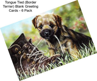 Tongue Tied (Border Terrier) Blank Greeting Cards - 6 Pack