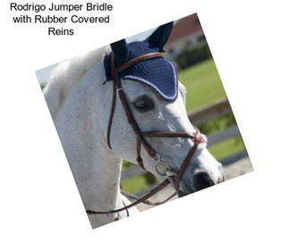 Rodrigo Jumper Bridle with Rubber Covered Reins