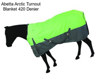 Abetta Arctic Turnout Blanket 420 Denier