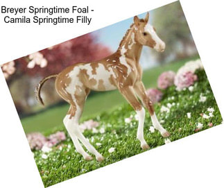 Breyer Springtime Foal - Camila Springtime Filly