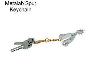 Metalab Spur Keychain