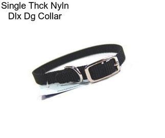 Single Thck Nyln Dlx Dg Collar