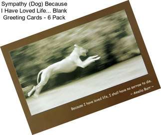 Sympathy (Dog) Because I Have Loved Life... Blank Greeting Cards - 6 Pack