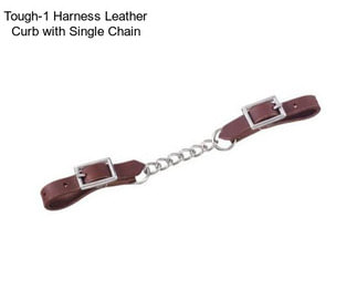 Tough-1 Harness Leather Curb with Single Chain