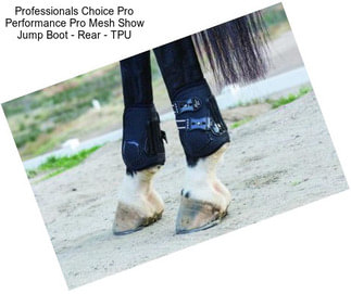 Professionals Choice Pro Performance Pro Mesh Show Jump Boot - Rear - TPU