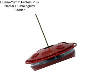 Humm-Yumm Protein Plus Nectar Hummingbird Feeder