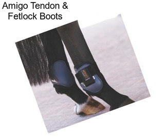 Amigo Tendon & Fetlock Boots