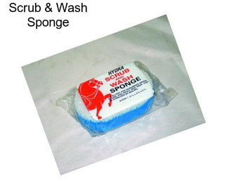 Scrub & Wash Sponge