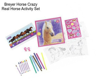 Breyer Horse Crazy Real Horse Activity Set