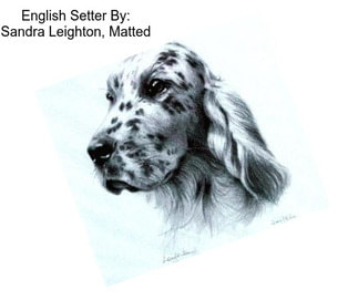 English Setter By: Sandra Leighton, Matted