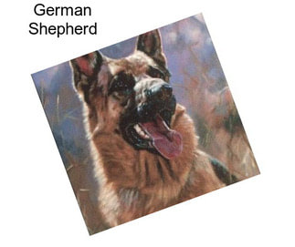 German Shepherd