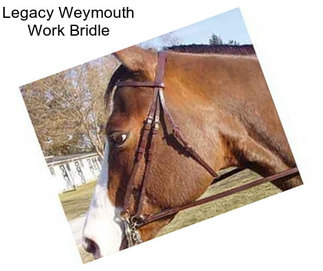 Legacy Weymouth Work Bridle