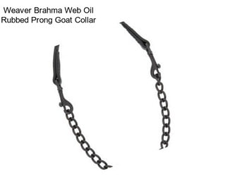 Weaver Brahma Web Oil Rubbed Prong Goat Collar