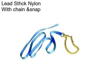 Lead Sthck Nylon With chain &snap