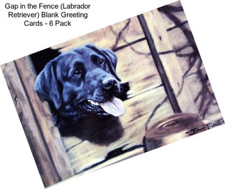 Gap in the Fence (Labrador Retriever) Blank Greeting Cards - 6 Pack