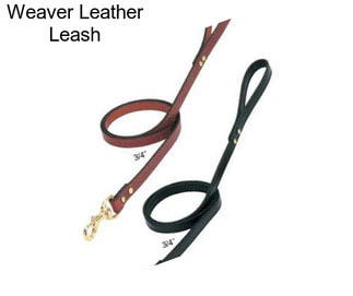 Weaver Leather Leash