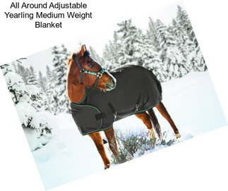 All Around Adjustable Yearling Medium Weight Blanket