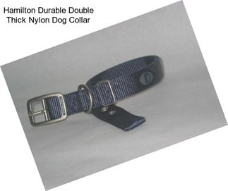 Hamilton Durable Double Thick Nylon Dog Collar