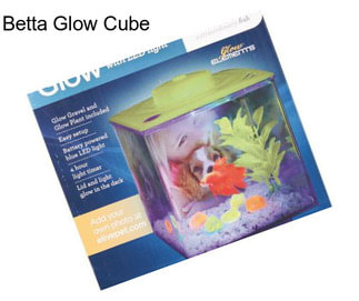 Betta Glow Cube