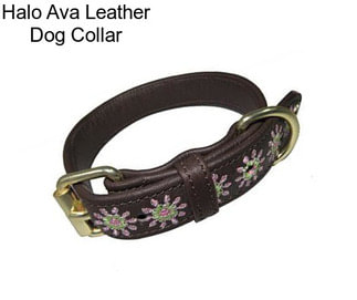 Halo Ava Leather Dog Collar