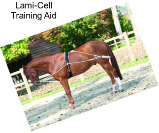 Lami-Cell Training Aid