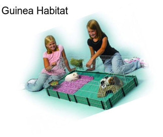 Guinea Habitat