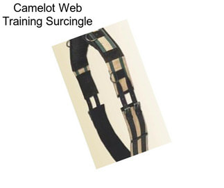 Camelot Web Training Surcingle
