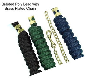 Braided Poly Lead with Brass Plated Chain