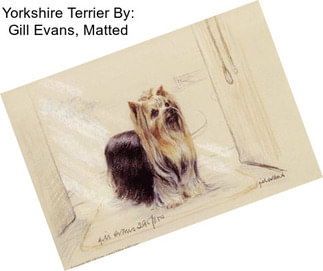 Yorkshire Terrier By: Gill Evans, Matted