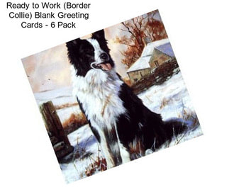 Ready to Work (Border Collie) Blank Greeting Cards - 6 Pack