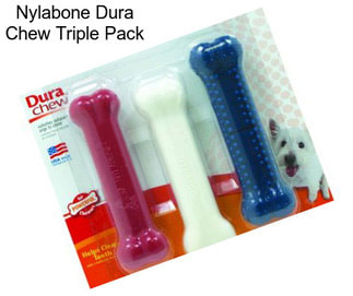 Nylabone Dura Chew Triple Pack