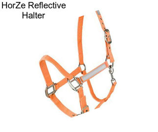 HorZe Reflective Halter