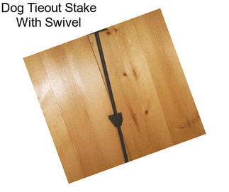 Dog Tieout Stake With Swivel