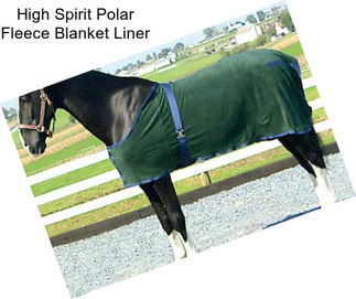 High Spirit Polar Fleece Blanket Liner
