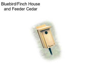 Bluebird/Finch House and Feeder Cedar