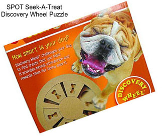 SPOT Seek-A-Treat Discovery Wheel Puzzle