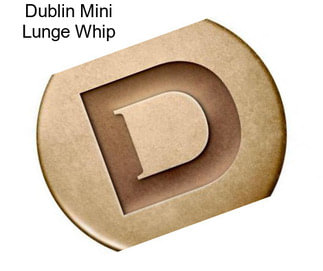 Dublin Mini Lunge Whip