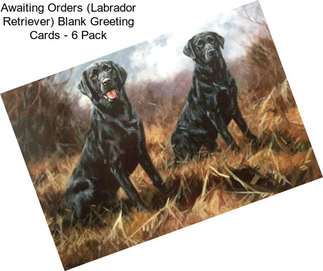 Awaiting Orders (Labrador Retriever) Blank Greeting Cards - 6 Pack