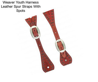 Weaver Youth Harness Leather Spur Straps With Spots