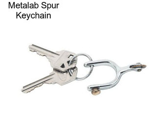 Metalab Spur Keychain