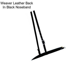 Weaver Leather Back In Black Noseband