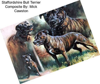 Staffordshire Bull Terrier Composite By: Mick Cawston