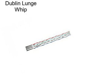 Dublin Lunge Whip