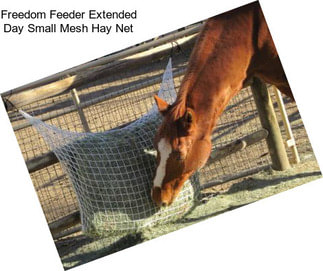 Freedom Feeder Extended Day Small Mesh Hay Net