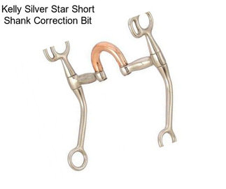 Kelly Silver Star Short Shank Correction Bit